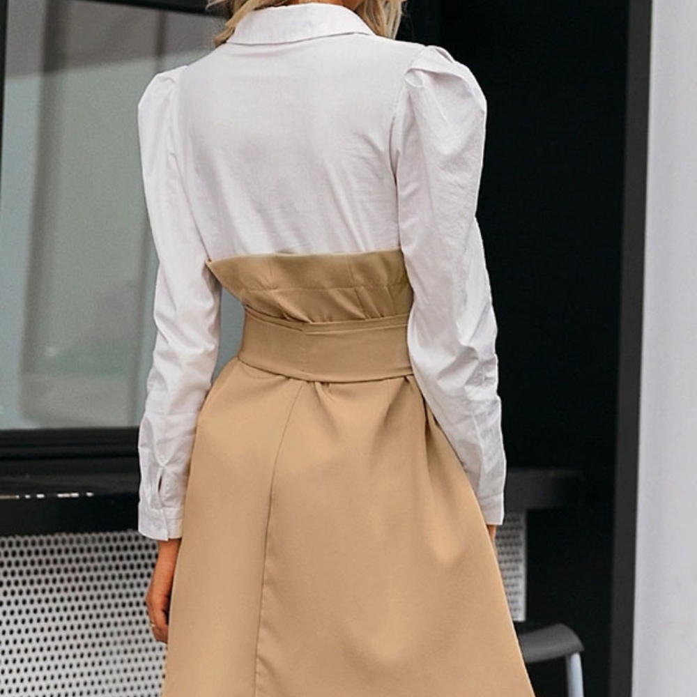 ๐ Tan Color Block Belted Button Front Dress - Picture 2 of 8